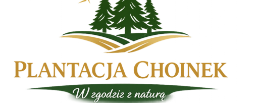 Plantacja Choinek